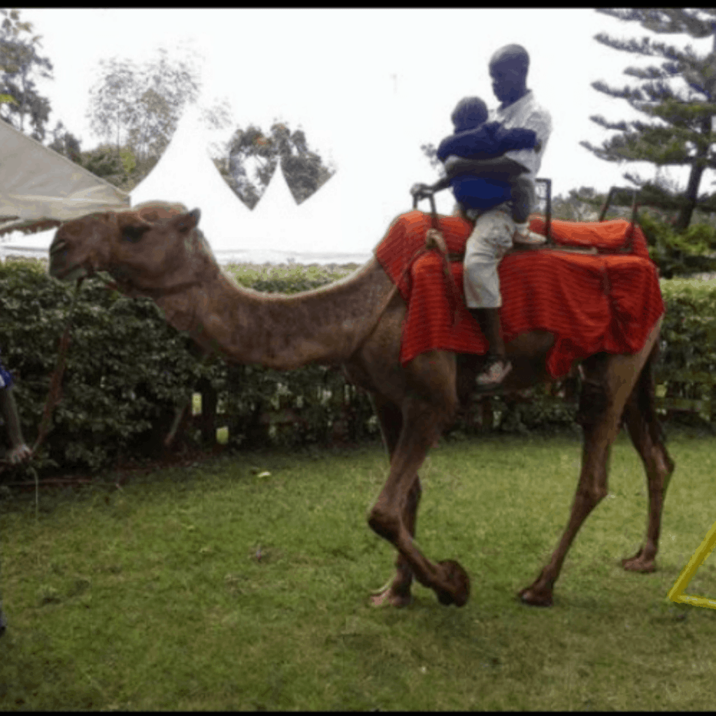 Horse and camel riding in Kenya- Event Created With Love